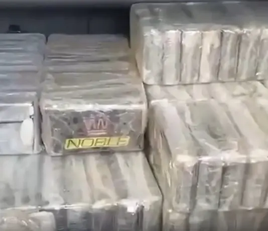 Maxi sequestro a Monza, 248 chili di cocaina e 12 di hashish: tre arresti