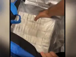 La Polizia sequestra 141 chili di droga e armi a Torino, arrestato 26enne