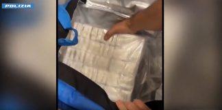 La Polizia sequestra 141 chili di droga e armi a Torino, arrestato 26enne / Video