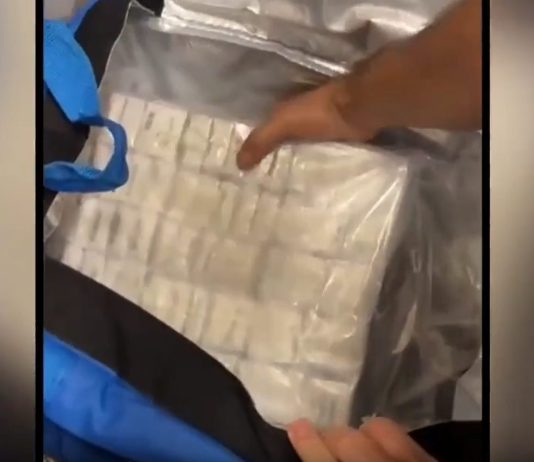 La Polizia sequestra 141 chili di droga e armi a Torino, arrestato 26enne / Video
