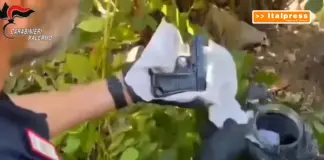 Droga e armi tra le piante nel Palermitano, il fiuto del cane “Vera” incastra un 50enne / Video