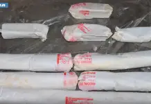 Scoperto arsenale nel Nuorese con dinamite e detonatori, un arresto