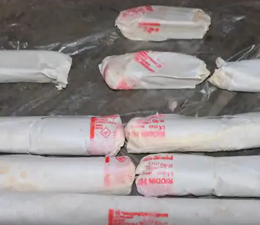Scoperto arsenale nel Nuorese con dinamite e detonatori, un arresto / Video