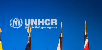 الأمم المتحدة: مجموعة دول تدعو في جنيف إلى حلول دائمة لسكان مخيمات تندوف