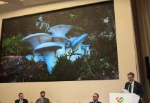 Biodiversità – COP-17: l’Italia aderisce al Fungal Conservation Pledge