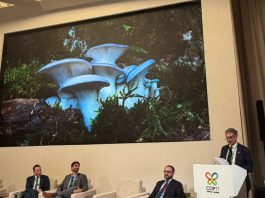 Biodiversità – COP-17: l’Italia aderisce al Fungal Conservation Pledge