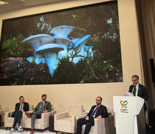 Biodiversità – COP-17: l’Italia aderisce al Fungal Conservation Pledge