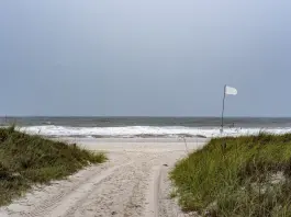 Usa, l’uragano Isaia raggiunge le coste della Florida: venti a 165 km/h, centinaia di migliaia di cittadini senza elettricità