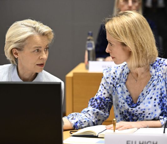 Artico, per von der Leyen e Kallas la sicurezza europea “si gioca anche a Nord”