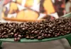 Celebrata a Roma la prima Giornata internazionale del caffè (2)