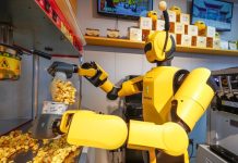 Cina: Anhui, robot con IA incarnata diventano attrazione turistica (1)
