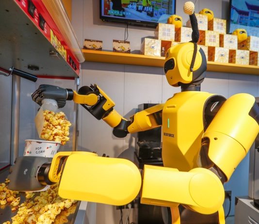 Cina: Anhui, robot con IA incarnata diventano attrazione turistica (1)