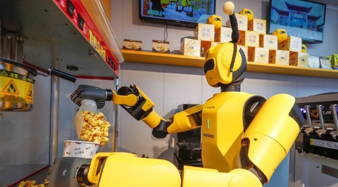 Cina: Anhui, robot con IA incarnata diventano attrazione turistica (1)
