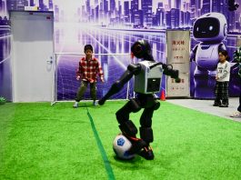 Cina: Anhui, robot con IA incarnata diventano attrazione turistica (3)