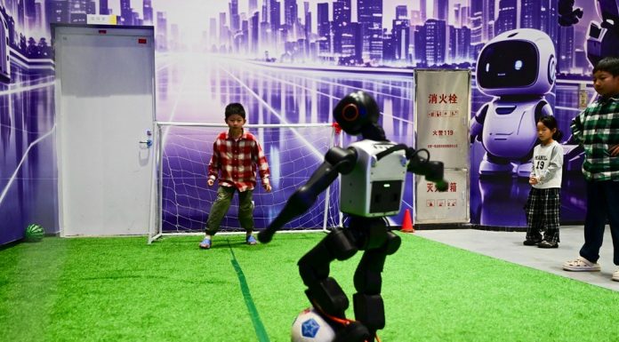 Cina: Anhui, robot con IA incarnata diventano attrazione turistica (3)