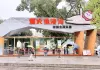 Cina: parchi per gatti cercano soluzioni durature e sostenibili per randagi (1)