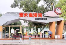 Cina: parchi per gatti cercano soluzioni durature e sostenibili per randagi (1)