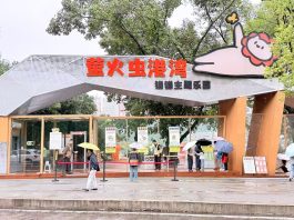 Cina: parchi per gatti cercano soluzioni durature e sostenibili per randagi (1)