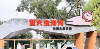 Cina: parchi per gatti cercano soluzioni durature e sostenibili per randagi (1)