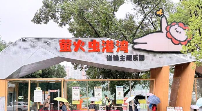 Cina: parchi per gatti cercano soluzioni durature e sostenibili per randagi (1)