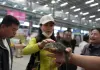 Cina: Anshan, al via prima fiera dedicata al settore degli animali domestici (1)