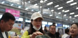 Cina: Anshan, al via prima fiera dedicata al settore degli animali domestici (1)