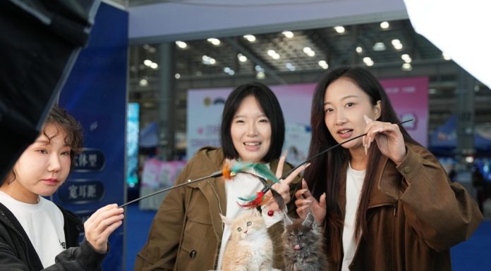 Cina: Anshan, al via prima fiera dedicata al settore degli animali domestici (2)