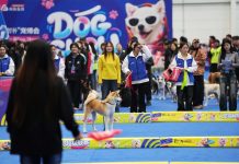 Cina: Anshan, al via prima fiera dedicata al settore degli animali domestici (3)