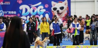 Cina: Anshan, al via prima fiera dedicata al settore degli animali domestici (3)