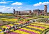 Cina: afflusso di turisti nelle aree rurali per la Festa nazionale (3)