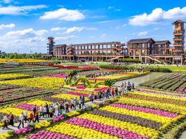 Cina: afflusso di turisti nelle aree rurali per la Festa nazionale (3)