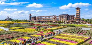 Cina: afflusso di turisti nelle aree rurali per la Festa nazionale (3)
