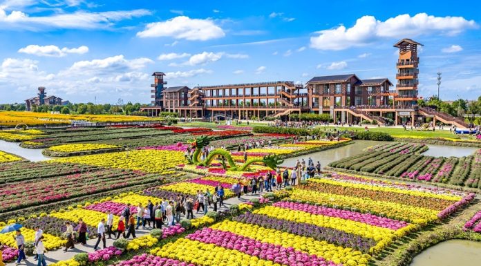 Cina: afflusso di turisti nelle aree rurali per la Festa nazionale (3)
