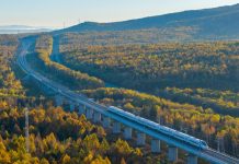 Cina: treni ad alta velocità tra le foreste autunnali di Yichun (2)