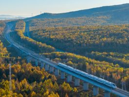 Cina: treni ad alta velocità tra le foreste autunnali di Yichun (2)