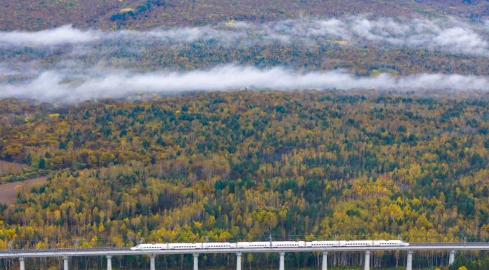 Cina: treni ad alta velocità tra le foreste autunnali di Yichun (3)