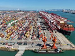 Cina: porto di Qingdao, aggiunte 16 rotte per il commercio estero nel 2026 (1)