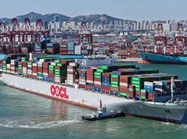 Cina: porto di Qingdao, aggiunte 16 rotte per il commercio estero nel 2026 (2)