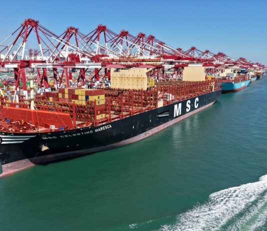 Cina: porto di Qingdao, aggiunte 16 rotte per il commercio estero nel 2026 (3)