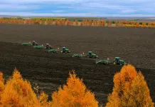 Cina: raccolta di mais e sorgo nello Heilongjiang (2)