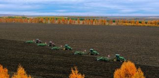 Cina: raccolta di mais e sorgo nello Heilongjiang (2)