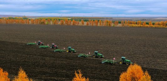 Cina: raccolta di mais e sorgo nello Heilongjiang (2)