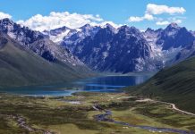 Cina: primo gruppo di parchi nazionali registra notevoli progressi ecologici