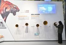 Cina: nello Heilongjiang centro didattico dedicato a tigri e leopardi (1)