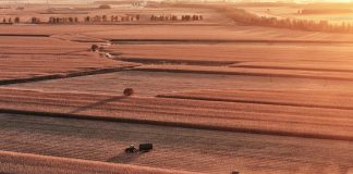 Cina: nello Heilongjiang raccolti oltre 8 milioni di ettari di colture (1)