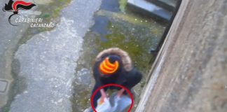 Si compravano la droga con il reddito di cittadinanza, 24 indagati tra Catanzaro e Vicenza / Video