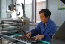 Cina: Hebei, contea di Suning promuove coltivazione di piantine di ortaggi (2)