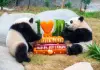 Cina: Hong Kong, Ocean Park celebrerà 50 anni con nuove strutture e celebrazioni