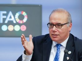 FAO: capo economista invita alla cooperazione globale sulla sicurezza alimentare