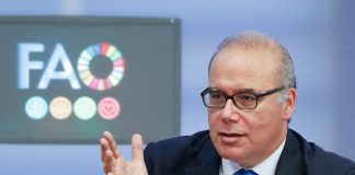 FAO: capo economista invita alla cooperazione globale sulla sicurezza alimentare